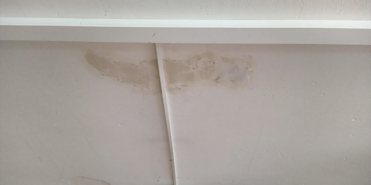 Decke mit Schallschutz (Sauerkrautplatten)